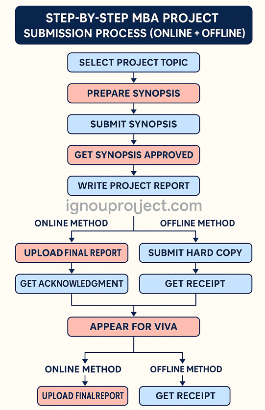 Step-by-Step MBA Project Submission Process (Online + Offline)