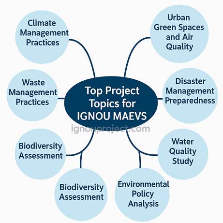 Top Project Topics for IGNOU MAEVS