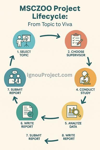 MSCZOO Project Lifecycle: From Topic to Viva