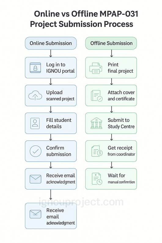 Online vs Offline MPAP 0301 Project Submission Process
