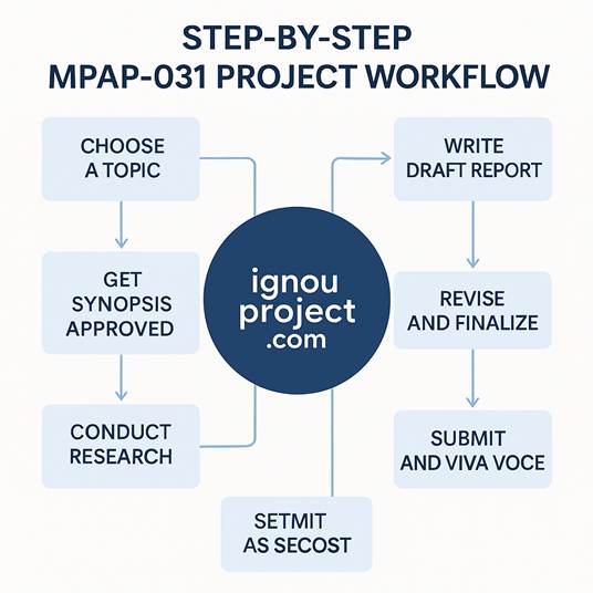 Step-by-Step MPAP-031 Project Workflow