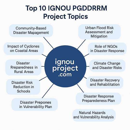 Top 10 IGNOU PGDDRRM Project Topics