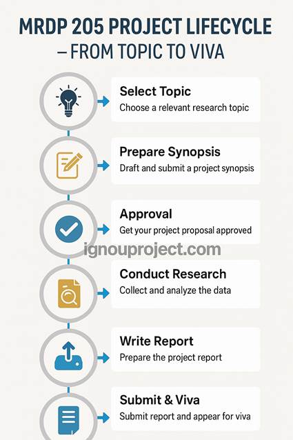 MRDP 205 Project Lifecycle – From Topic to Viva