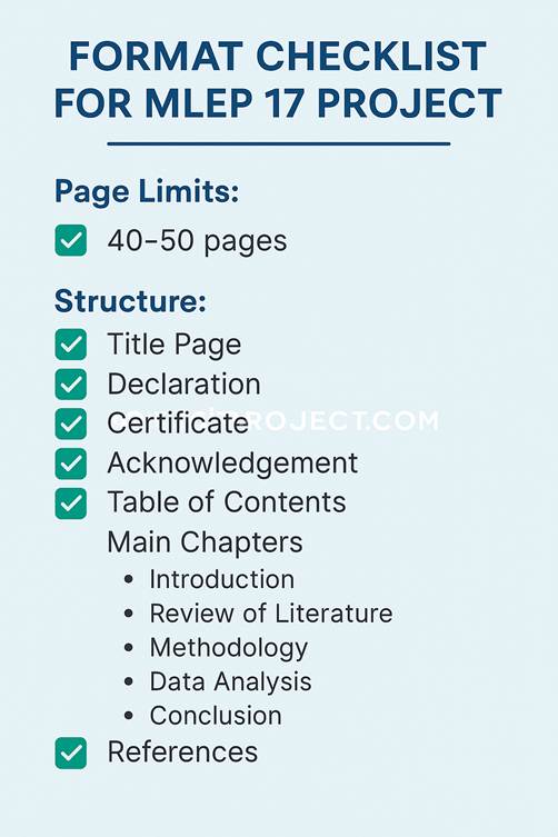 Format Checklist for MLEP 17 Project