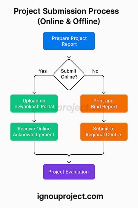 Project Submission Process (Online & Offline)