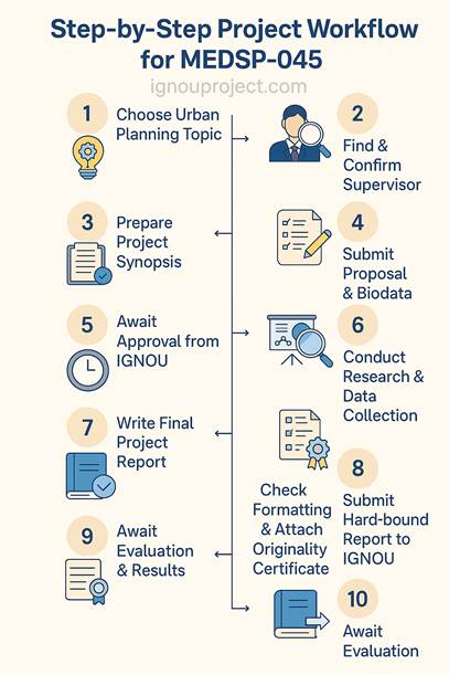 Step-by-Step Project Workflow for MEDSP-045