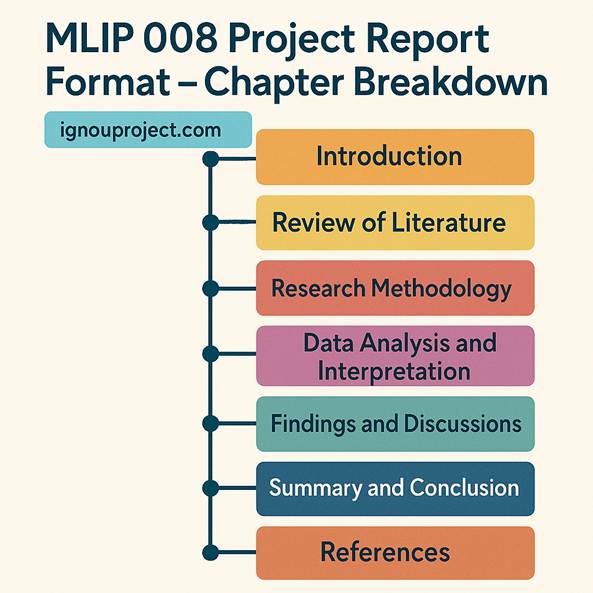 MLIP 008 Project Report Format – Chapter Breakdown