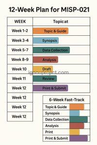 Weekly MISP-021 project timeline with tasks and milestones.