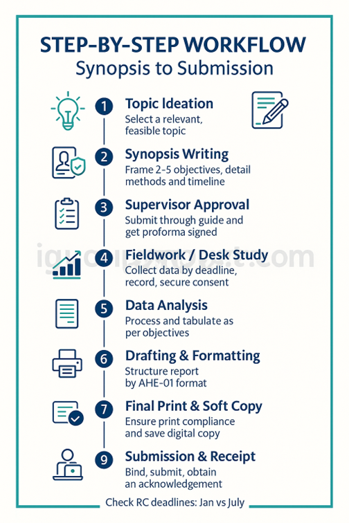 Step-by-Step Workflow from Synopsis to Submission in AHE 01 Project