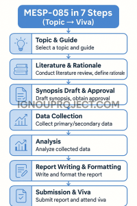 MESP-085 in 7 Steps (Topic → Viva)